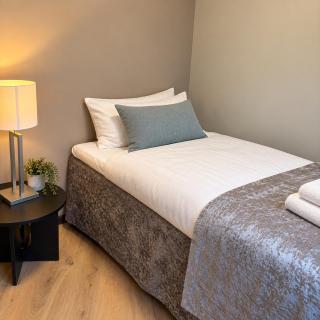 3- Cozy, newly renovated studio apartment with an alcove - 5