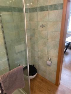Erzgebirgischer Hof - Thum, Ferienwohnung - 1