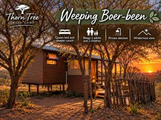 Thorn Tree Bush Camp - 5
