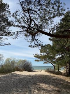 Sunny Dune - 9