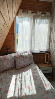 DOL House - 6