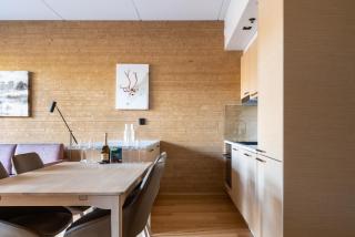 Central Lux Apartment D19 Ski-in Ski-out by Aavalevi - Levi - 4