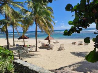 Studio Kaz sorbet coco - 1ère ligne vue mer exceptionnelle - 9