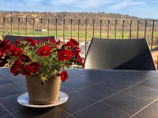 Quiet apartment in the heart of town with a large terrace l'Abatanador - 5