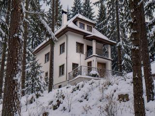 Vacation home Yavor - 8