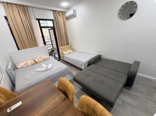 erekle apartament - 0