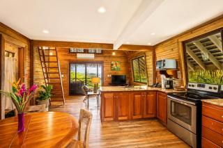 Red Frog Jungle Lodges - 5