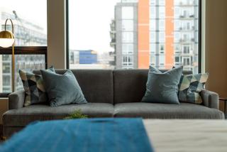 Sable 401 - Studio - 2