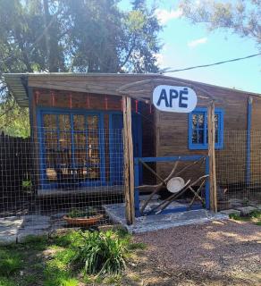 Apé - 6