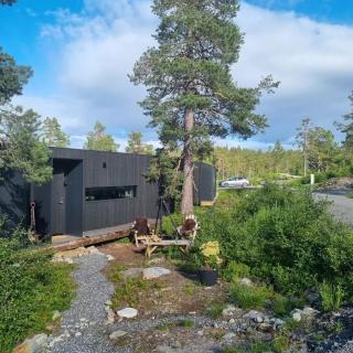 Nipeto Cozy Cube, Blefjells Beste - Svene - 4