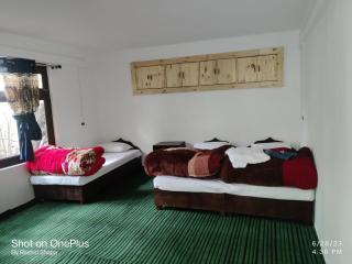 APRICOT HOMESTAY Shapa - 7