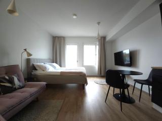New Premium City Studio in Center, Free Parking and Wi-Fi - 8