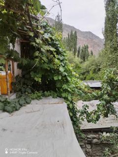 APRICOT HOMESTAY Shapa - 1