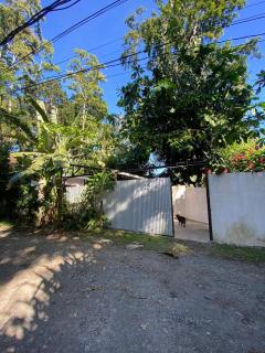 Private Jungle Box in Playa Cocles - 4
