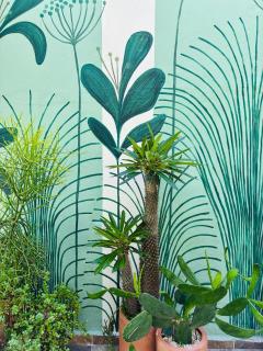 Casa Magu Merida - 8