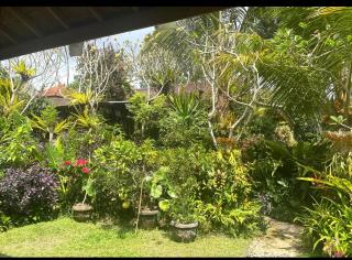 Jujul Waterfall Homestay - 7