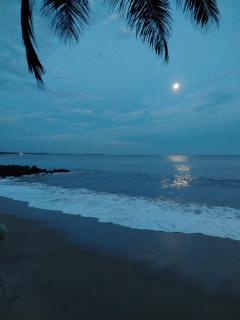 Sarath Beach Garden - 6