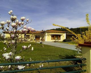 Kavala Villa 360 degrees green - 6