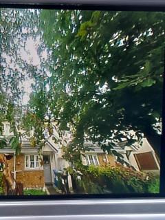 Seville Grove - 9