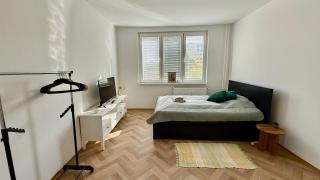 Green apartment - 9