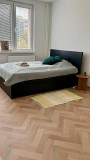 Green apartment - 7