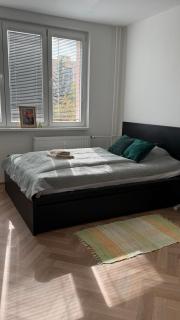 Green apartment - 1