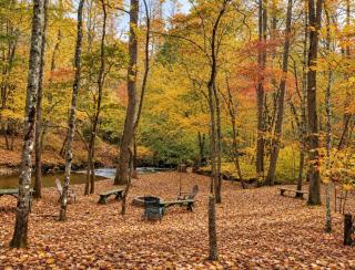 Sweet Serenity Creek - Cherry Log - 9