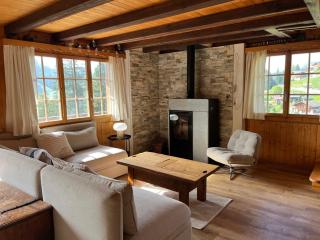 Chalet familial Rose de Noël - Les Diablerets - 6