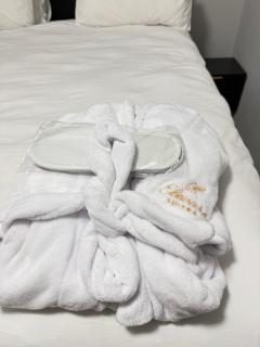 Elevare suites - 5