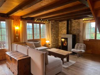 Chalet familial Rose de Noël - Les Diablerets - 2