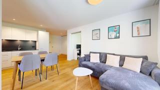 WEF Apartment in the Heart of Davos - 6