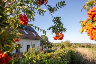 Kompas Groot Luxe gîte met wellness faciliteiten - 4