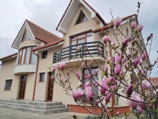 Casa Sergiu - 0