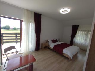 Casa Sergiu - 9