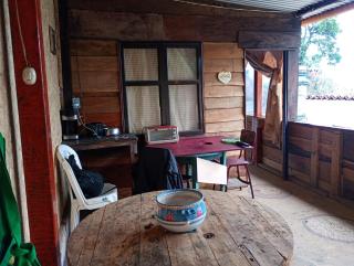 Paxel Forest - 6