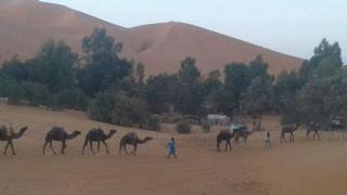 Oasis Desert Camp Obira - 4