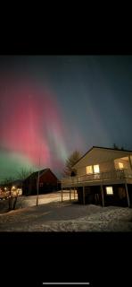 Arctic Serenity - 7