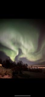 Arctic Serenity - 6