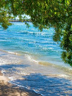 Premium 2BR 2BA Beachfront Terrace AC Parking WiFi - 5