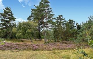 Stunning Home In Højby With Wifi - 1