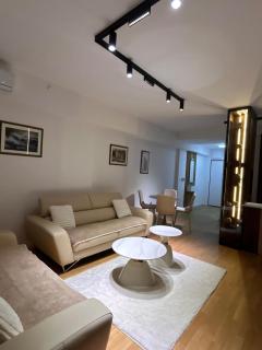 Luxury Grand River Apartment Skopje - 6
