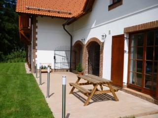 Holiday home in Lipno nad Vltavou 1943 - 9