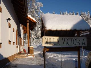 Holiday home in Lipno nad Vltavou 1943 - 6