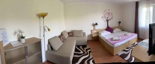 Studio with A - C in Zalakaros 58342 - 1