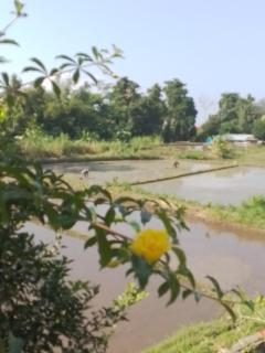 Vikram Ashna 2 - Gianyar - 2