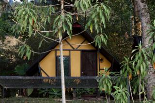 Redwood Salento - 8