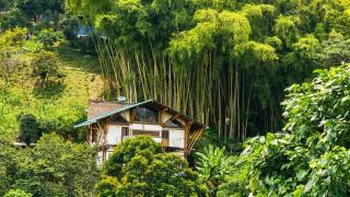 Cabane Limon - Salento - 6