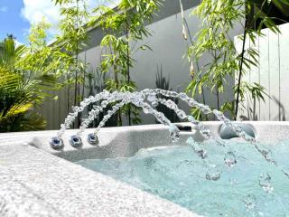 Botanical Gardens Spa Villa - Edge Hill Cairns sleeps 9 Pet Friendly - Edge Hill - 0