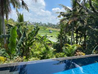 The Shea Ubud Tranquility Villa with Private Pool - Ubud - 0