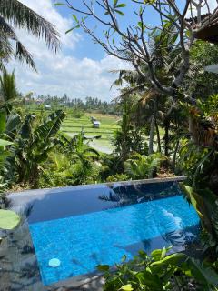 The Shea Ubud Tranquility Villa with Private Pool - Ubud - 9